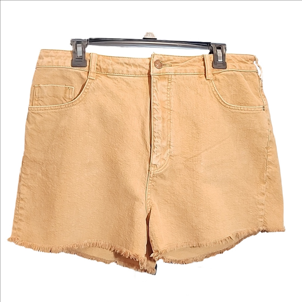 ANTHROPOLOGIE FRING JEAN SHORTS
